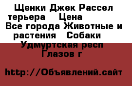 Щенки Джек Рассел терьера  › Цена ­ 15 000 - Все города Животные и растения » Собаки   . Удмуртская респ.,Глазов г.